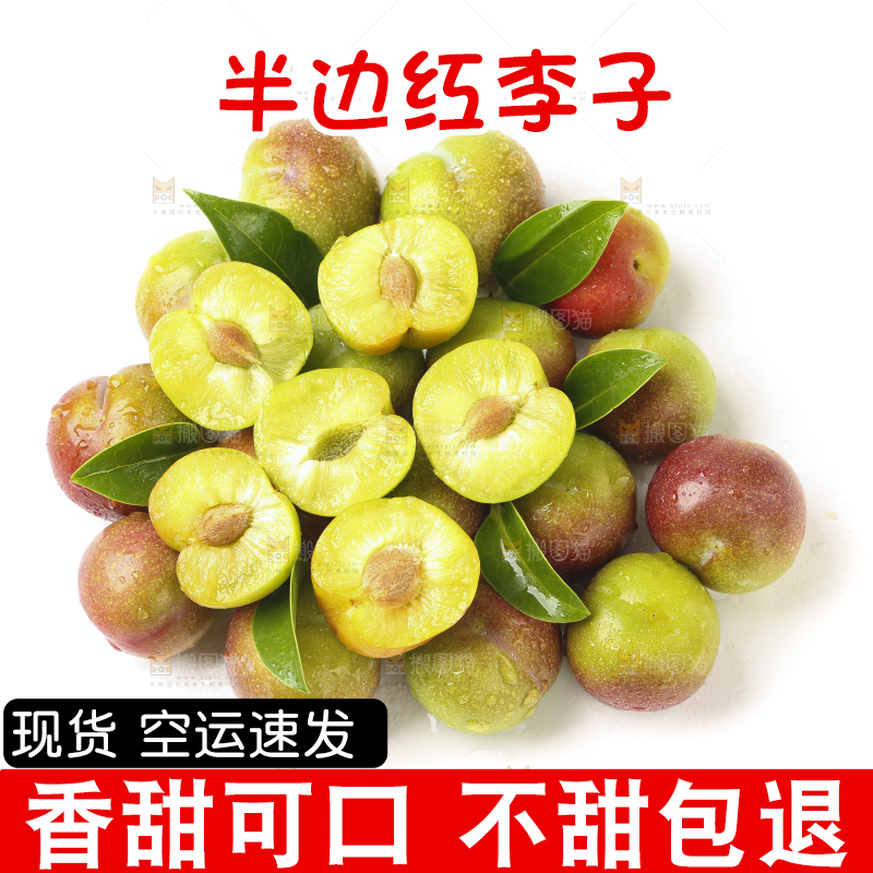 白底上摆放着新鲜李子