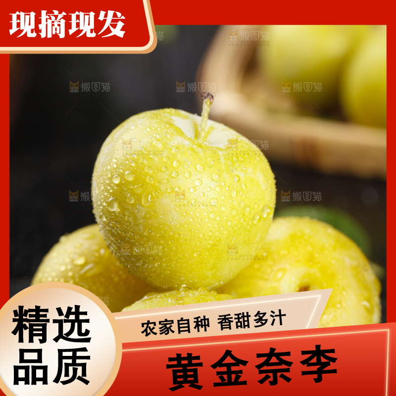 石板上放着九峰山黄金奈李