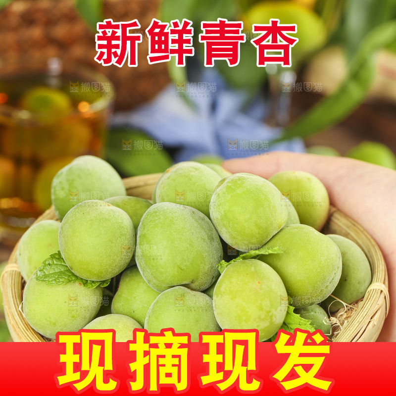 篮子里装着沂蒙山青杏