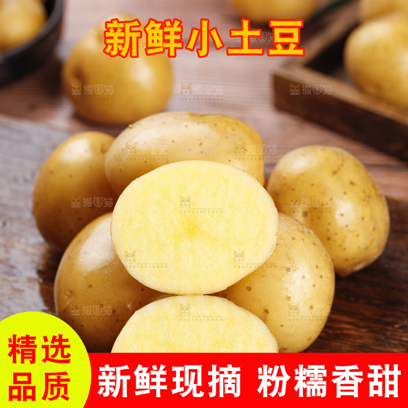 深底上的宜昌小土豆