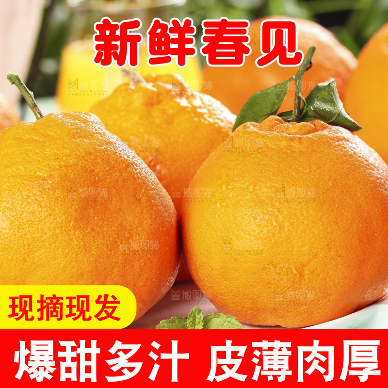 盘子里装着耙耙柑