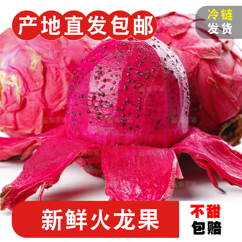 白底上摆放着金都一号火龙果
