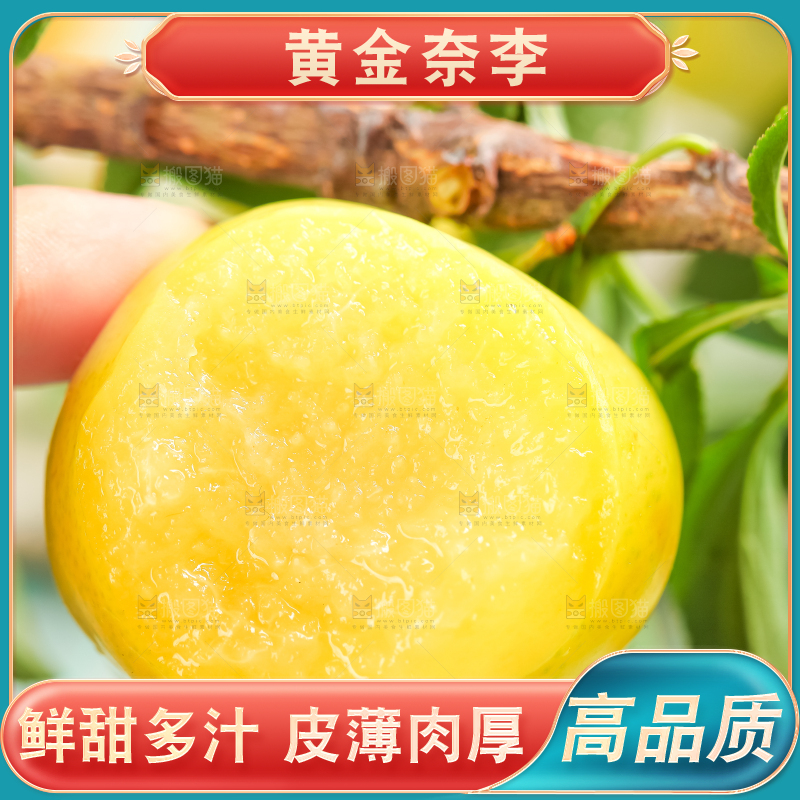 枝叶上的黄金李