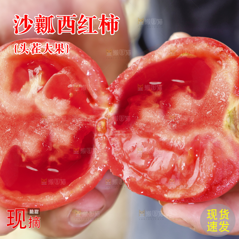 农民手里拿着普罗旺斯西红柿