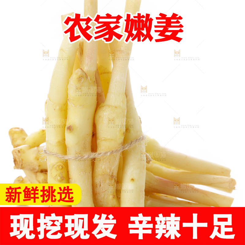 白底上的一堆新鲜生姜