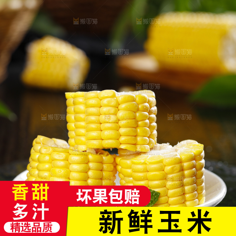 黑石板上的东北玉米