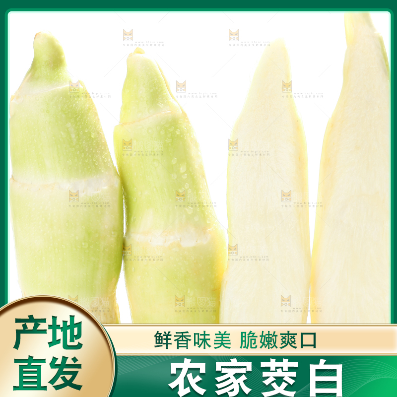 白底上的茭白