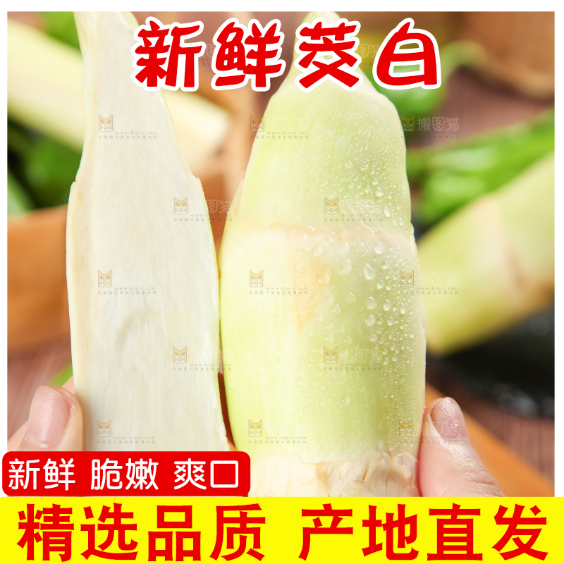 手里拿着湖北新鲜茭白