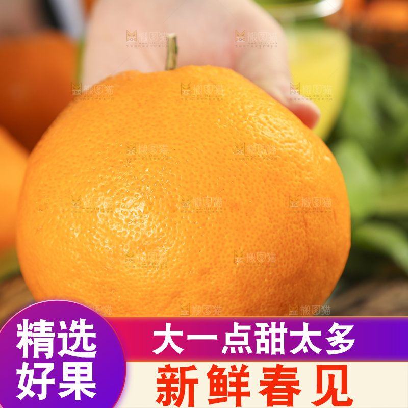 手里拿着四川耙耙柑