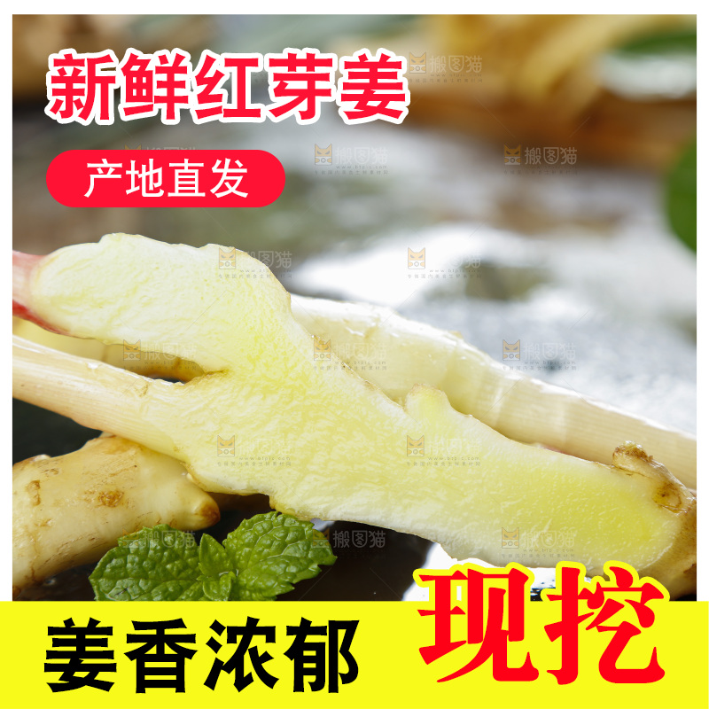 黑石板上放着红芽嫩姜
