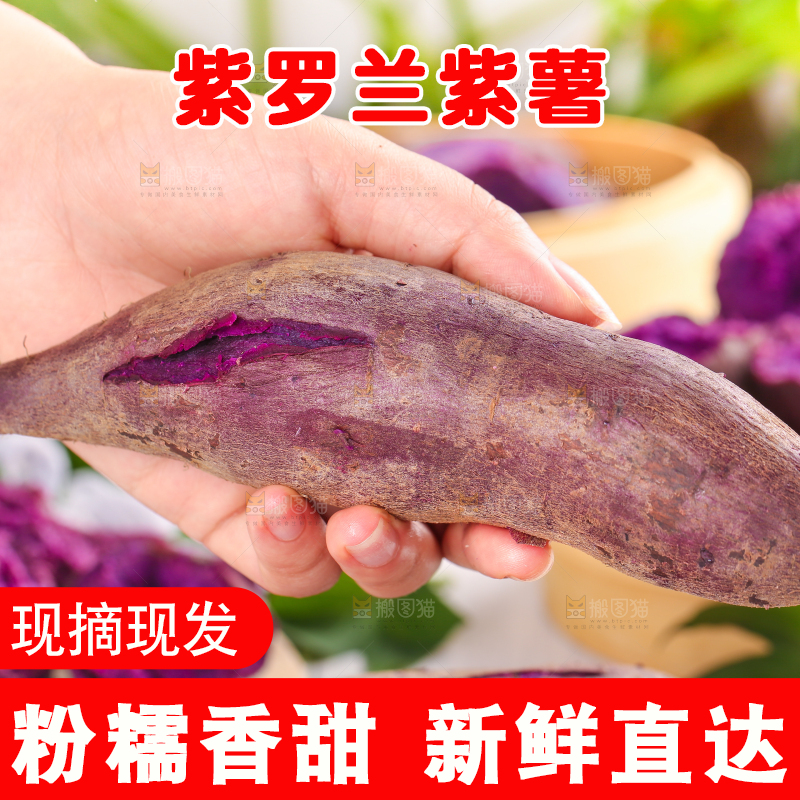 浅底上的板栗紫薯