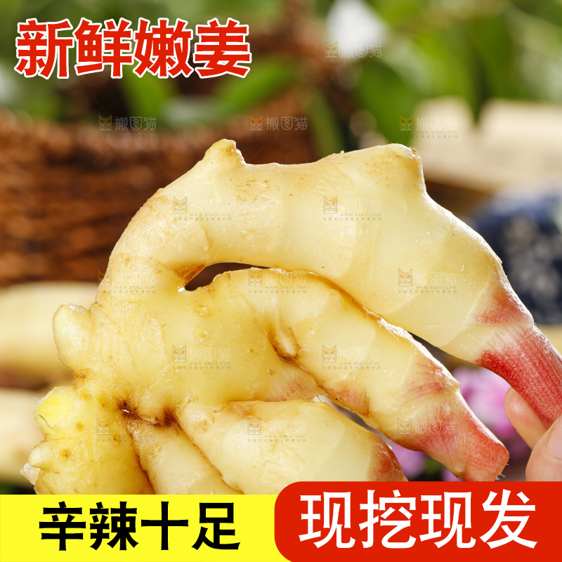 木板上的红芽嫩仔姜