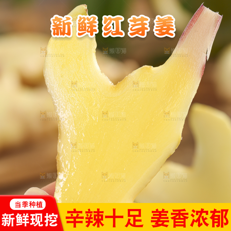 手里拿着红芽姜