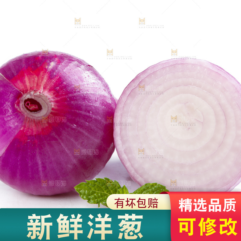 白底上的新鲜洋葱