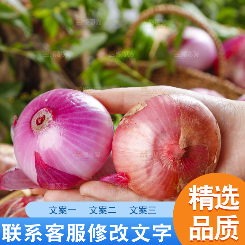手上拿着皮洋葱