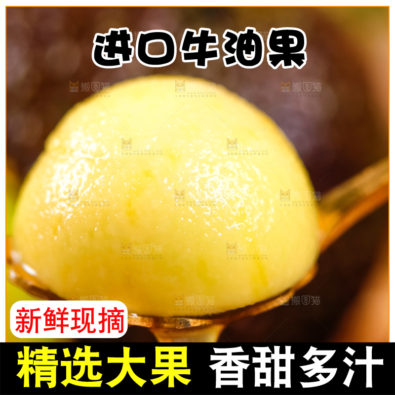 浅底上的巨无霸牛油果
