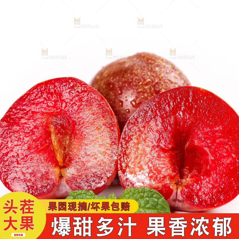 白底上的红肉三华李
