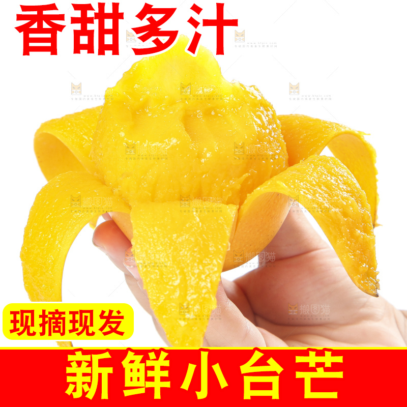 手里拿着小台农芒果肉