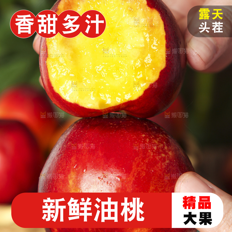 手里拿着山东黄肉油桃