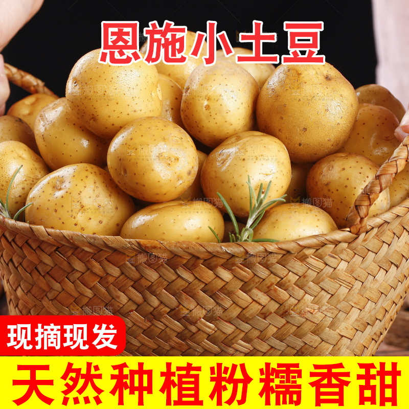 篮子里的山东黄皮小土豆