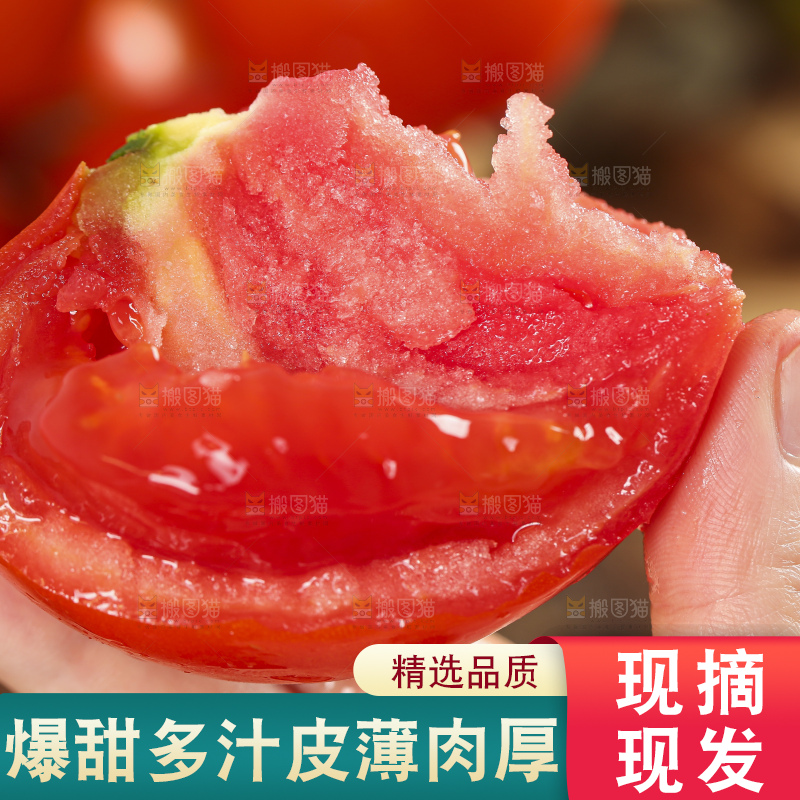 手里拿着米易沙瓤西红柿