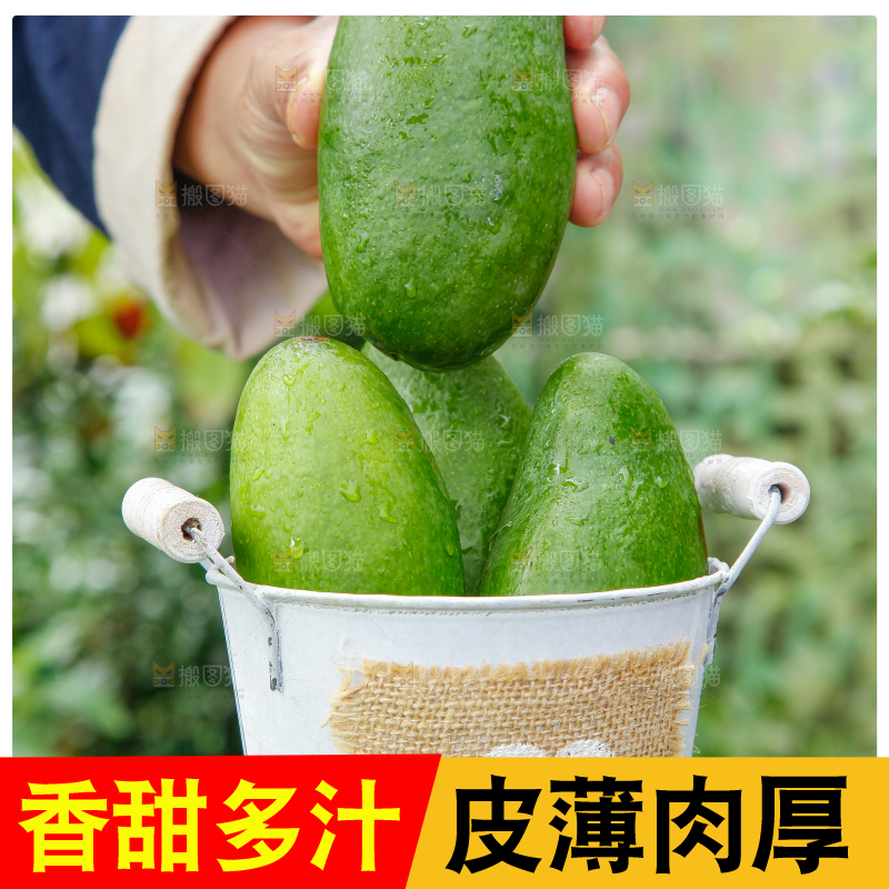 小桶子里装着新鲜芒果