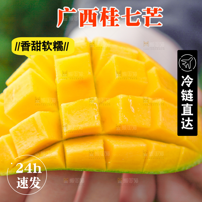 手上拿着田东桂七青芒