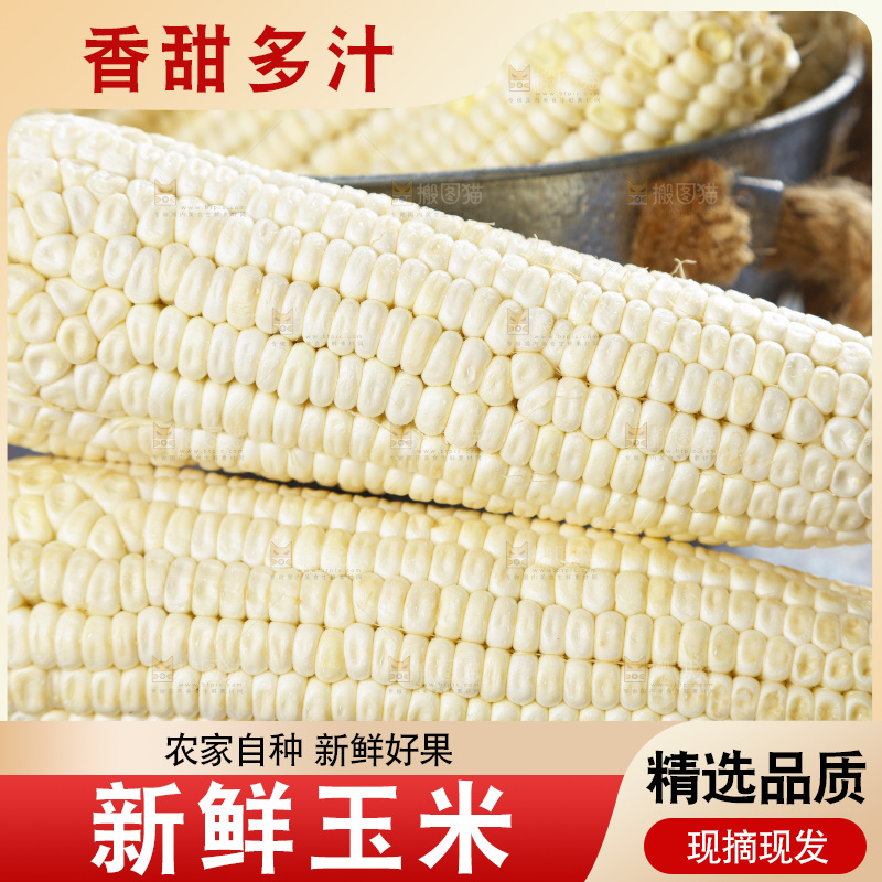 桶里装着牛奶玉米