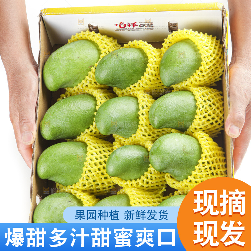 箱子里装着百色田东桂七芒