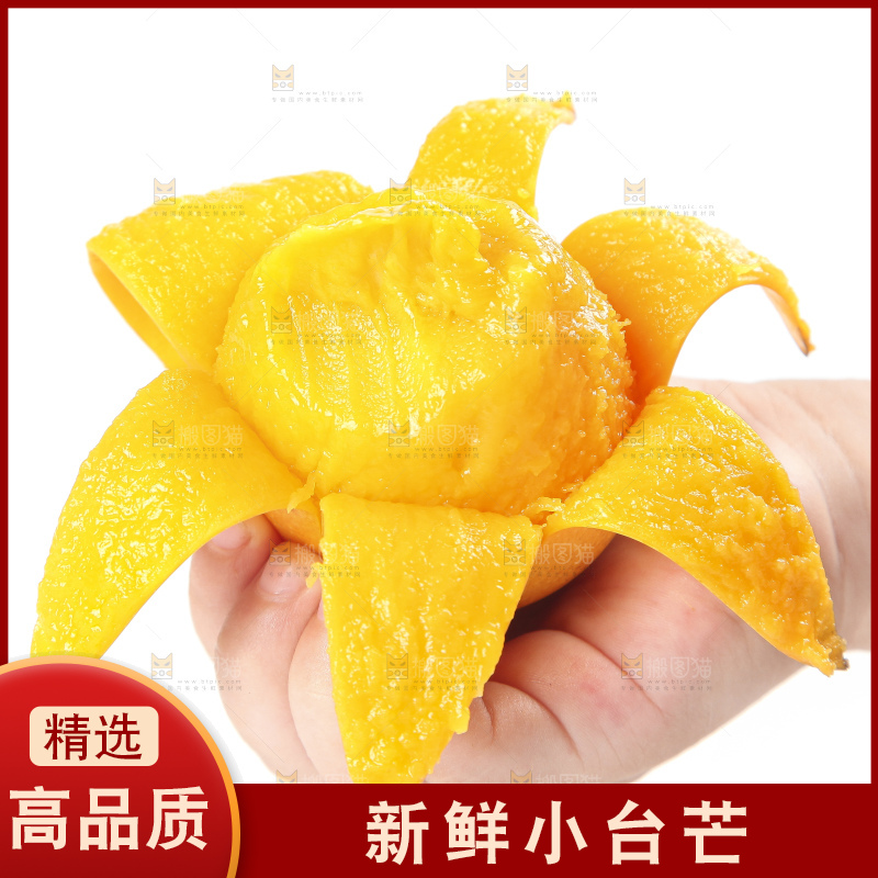 手里拿着小台农芒果肉