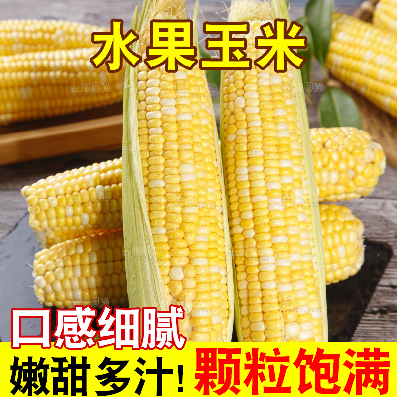 黑底上的云南水果玉米