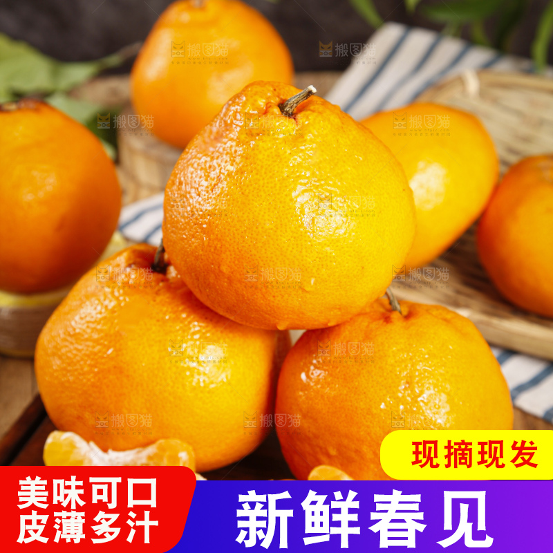 木板上的春见耙耙柑