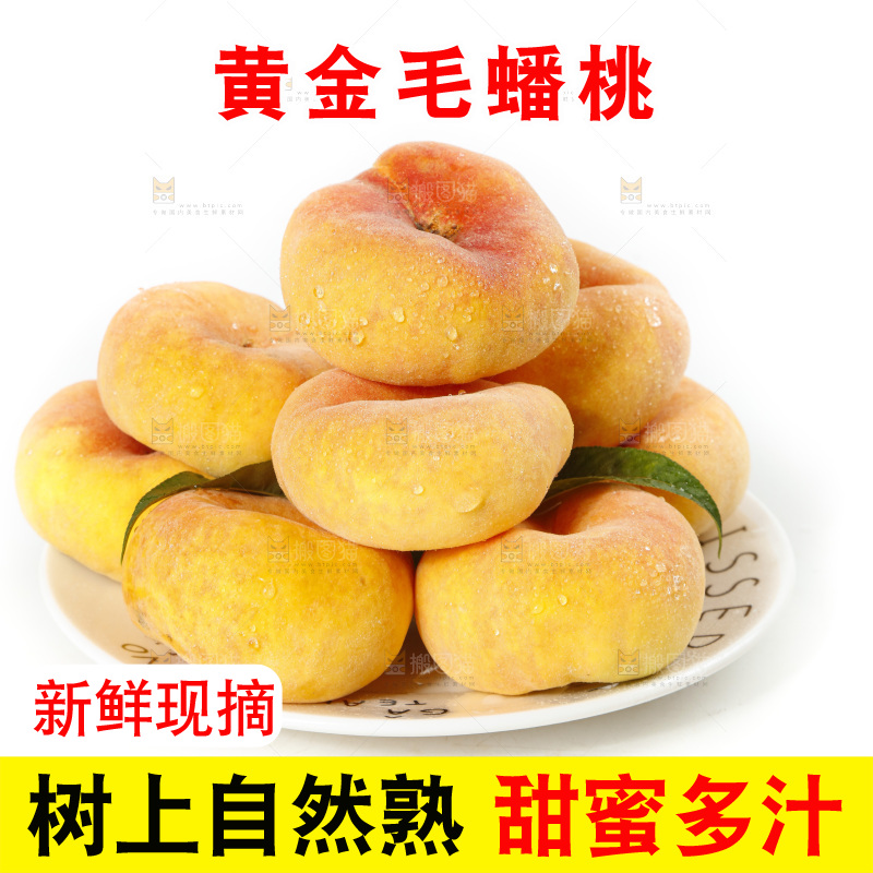 白底上的蒙阴毛蟠桃