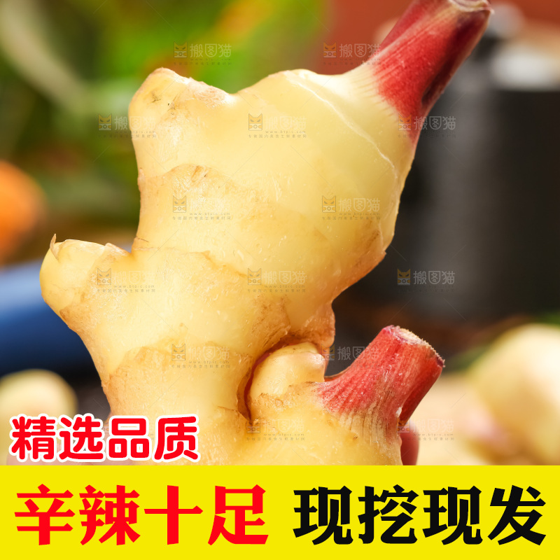 手里拿着新鲜生姜