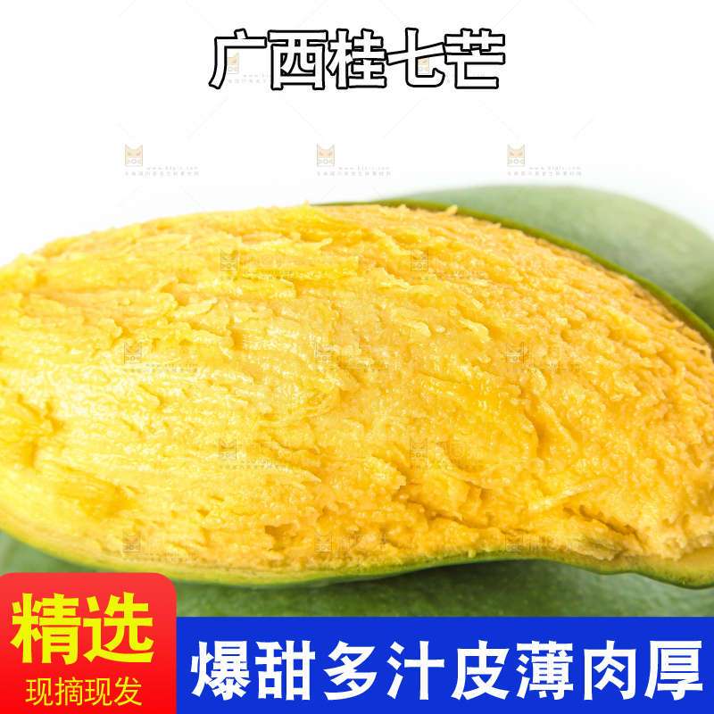 白底上放着青皮桂七芒