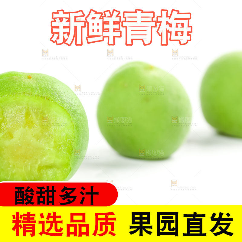 白底上的诏安青梅
