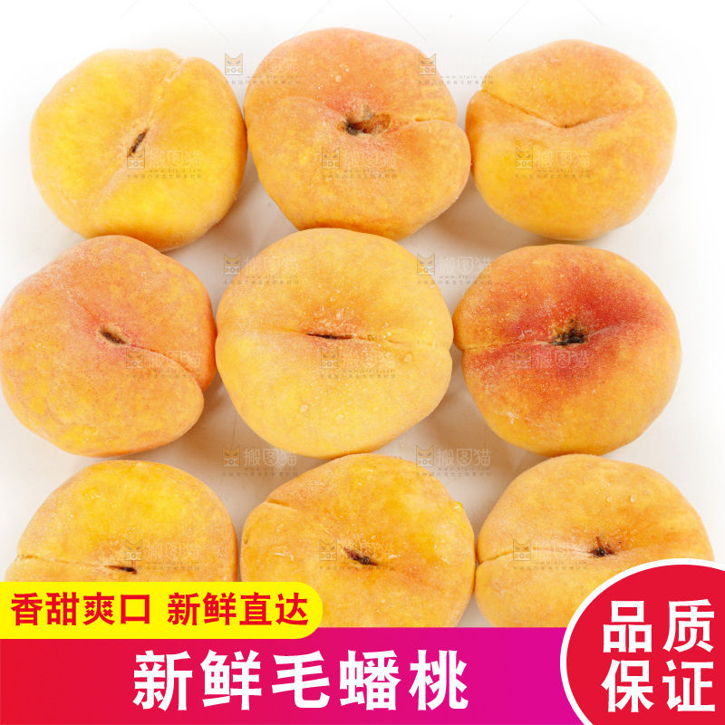白底上的蒙阴毛蟠桃