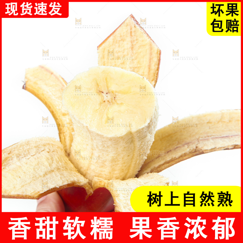 白底上的红皮美人蕉