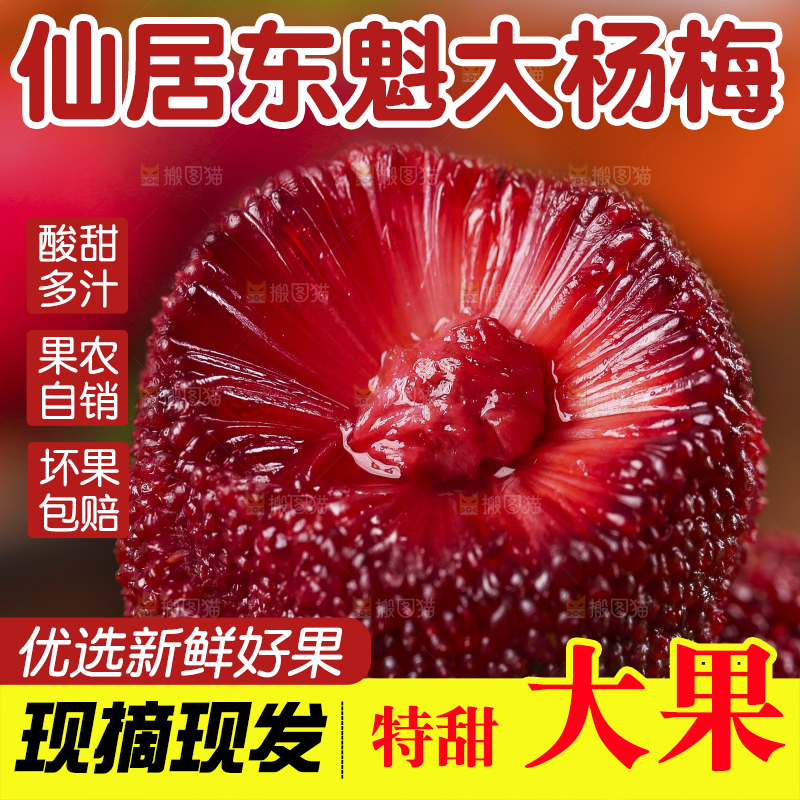 杨梅