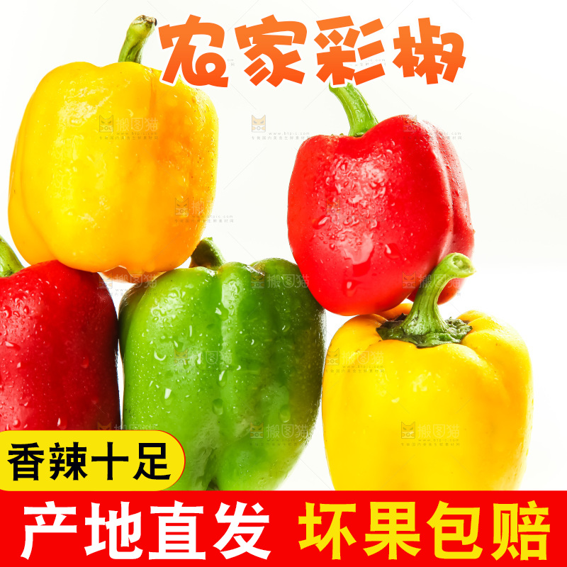 白底上放着一堆圆辣椒