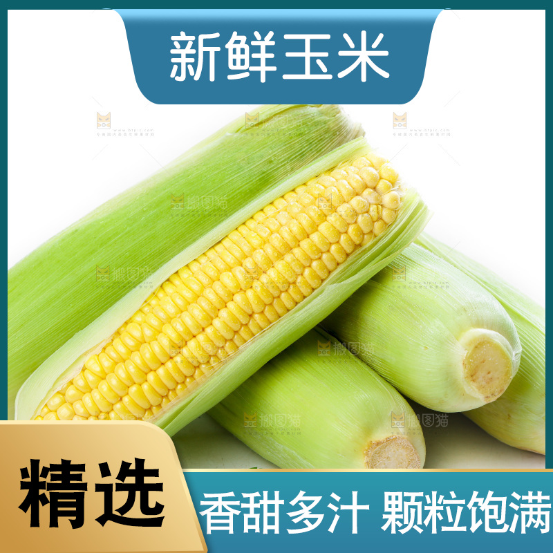 白底上放着新鲜玉米
