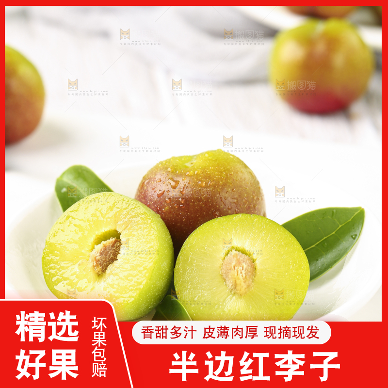 石板上摆放着四川茵红脱骨李