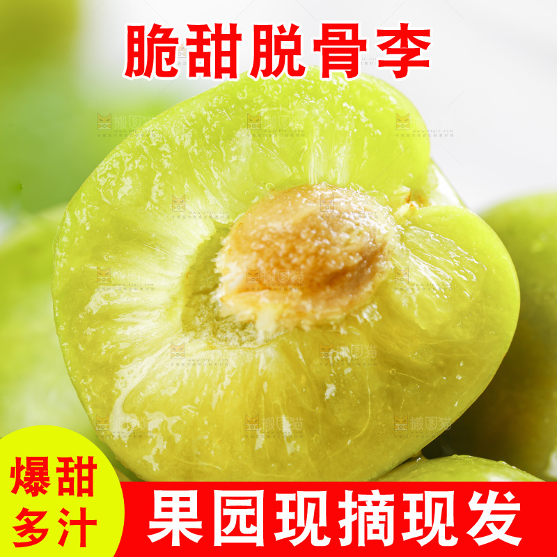浅底上放着脱骨李