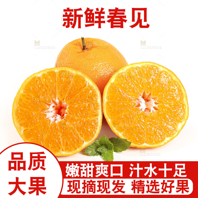 白底上放着一堆春见耙耙柑