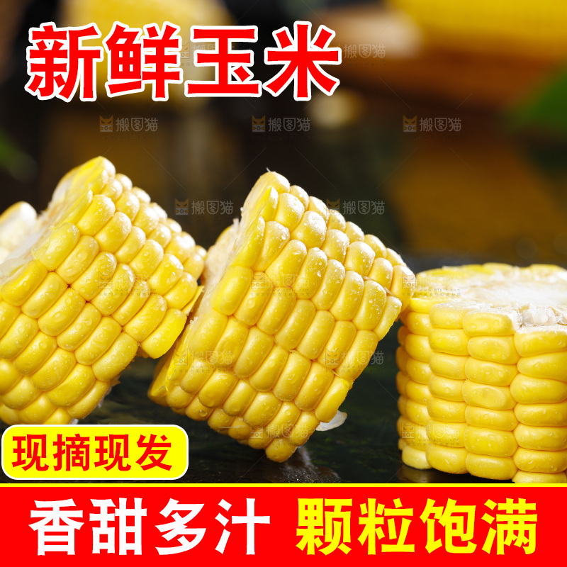 黑石板上的东北玉米