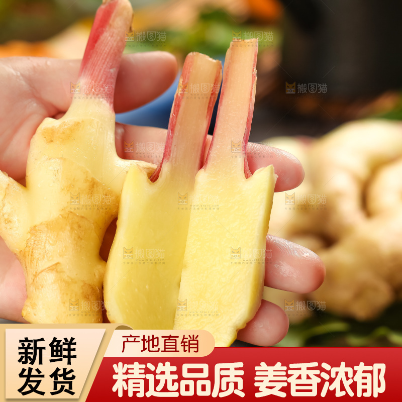 手里拿着新鲜生姜