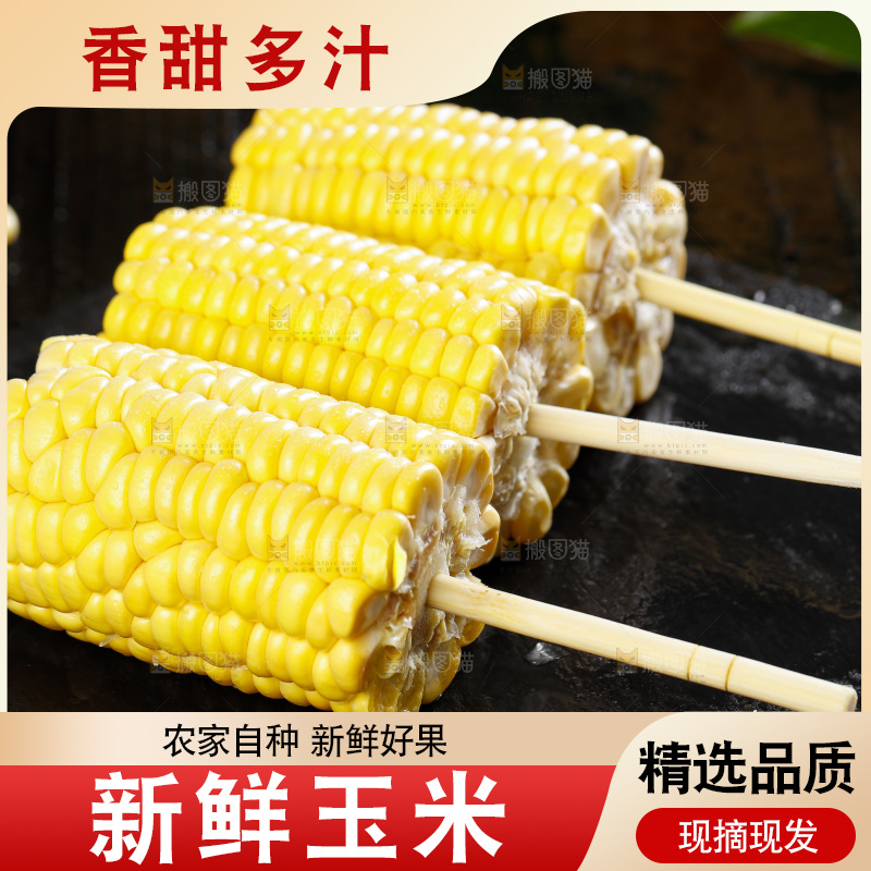 黑石板上的东北玉米