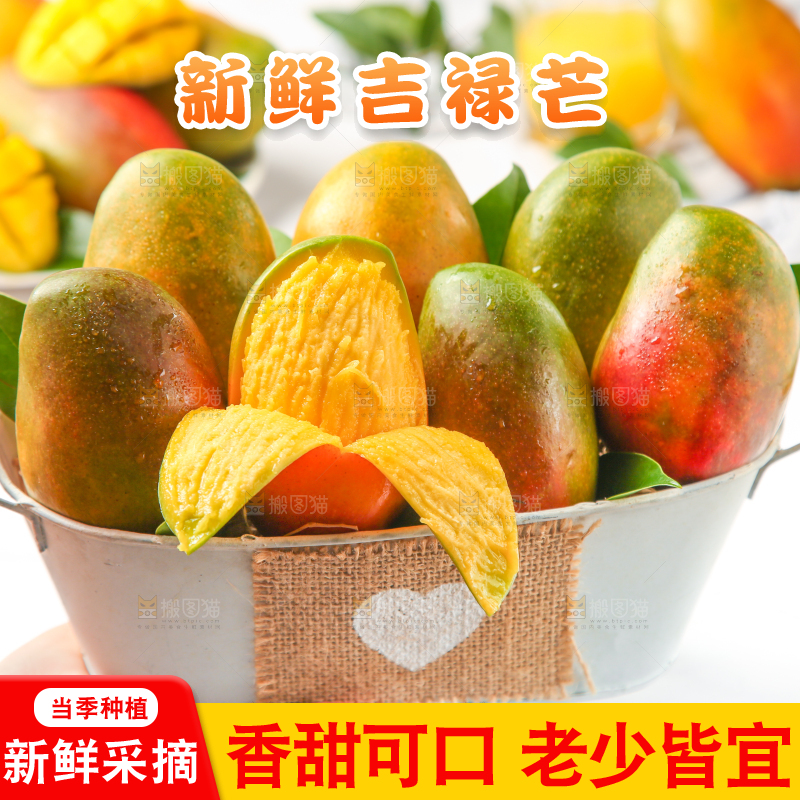 篮子里的爱文芒