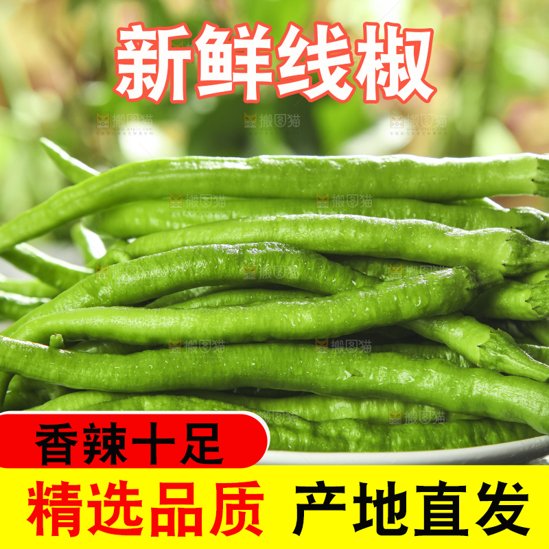 盘子里装着二荆条辣椒