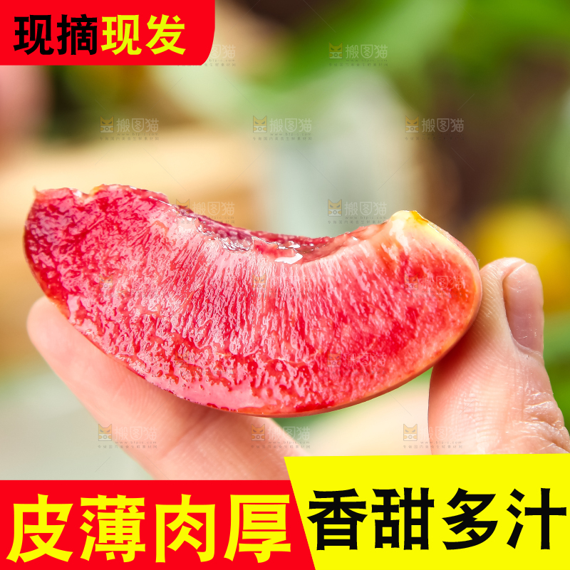 手上拿着湖北胭脂红桃子